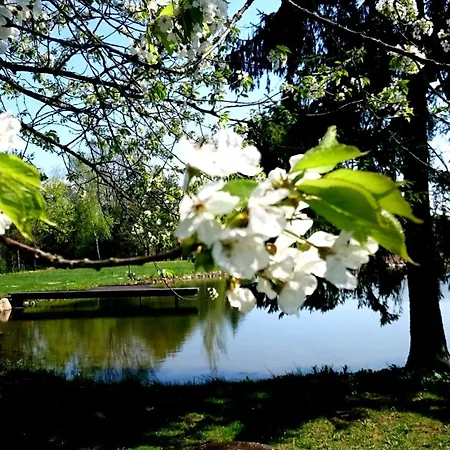 Hétvégi ház Dworek *